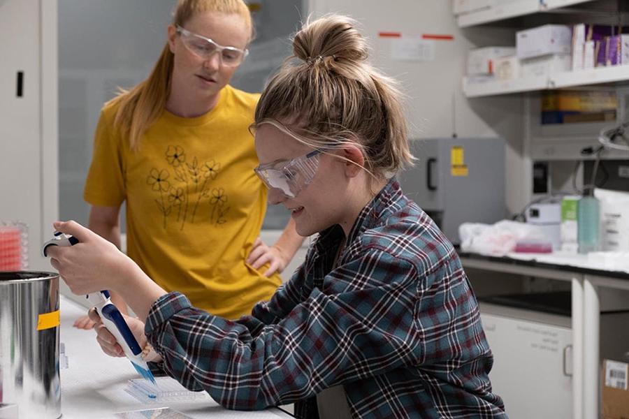 Caitlin McEntee's summer internship at the University of Kansas involved characterizing proteins to formulate a test method for future protein therapies.